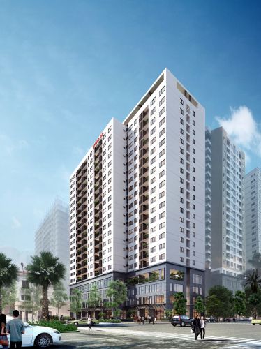 Trung Do Complex (NO3-T6)